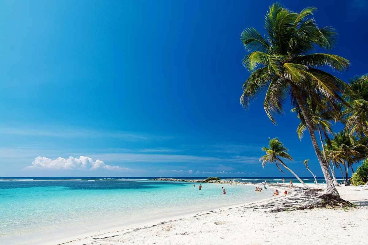 Le Ti'Paradise Anse Des Rochers Belle-Allée Eksteriør bilde